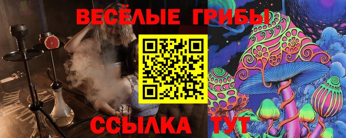 Псилоцибиновые грибы GOLDEN TEACHER Нововоронеж