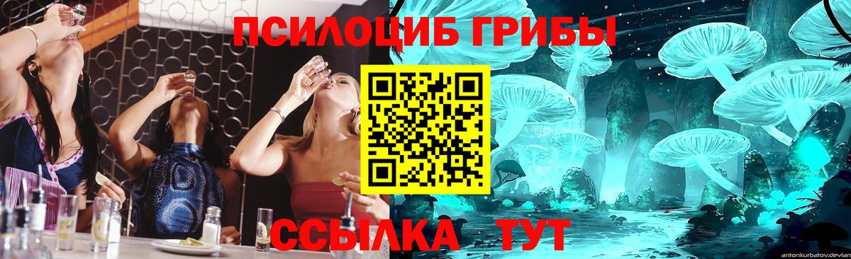 Нововоронеж  Галлюциногенные грибы Psilocybe  Псилоцибиновые грибы GOLDEN TEACHER  Вход с VPN 